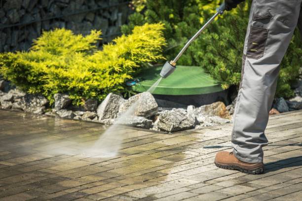 Best Winterizing Services  in East Bronson, FL