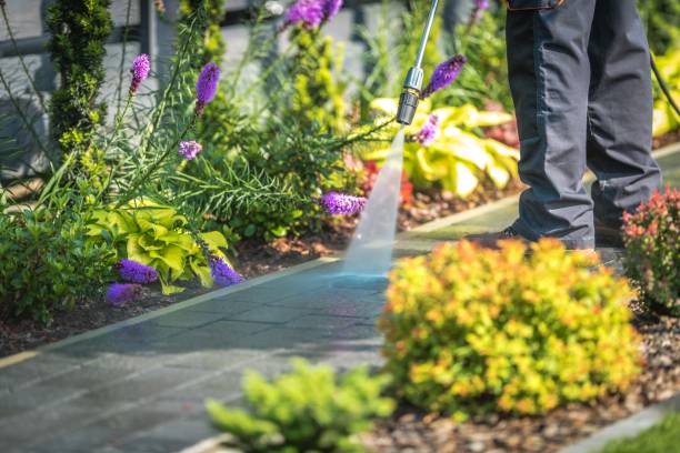 Best Pre-Holiday Cleaning  in East Bronson, FL
